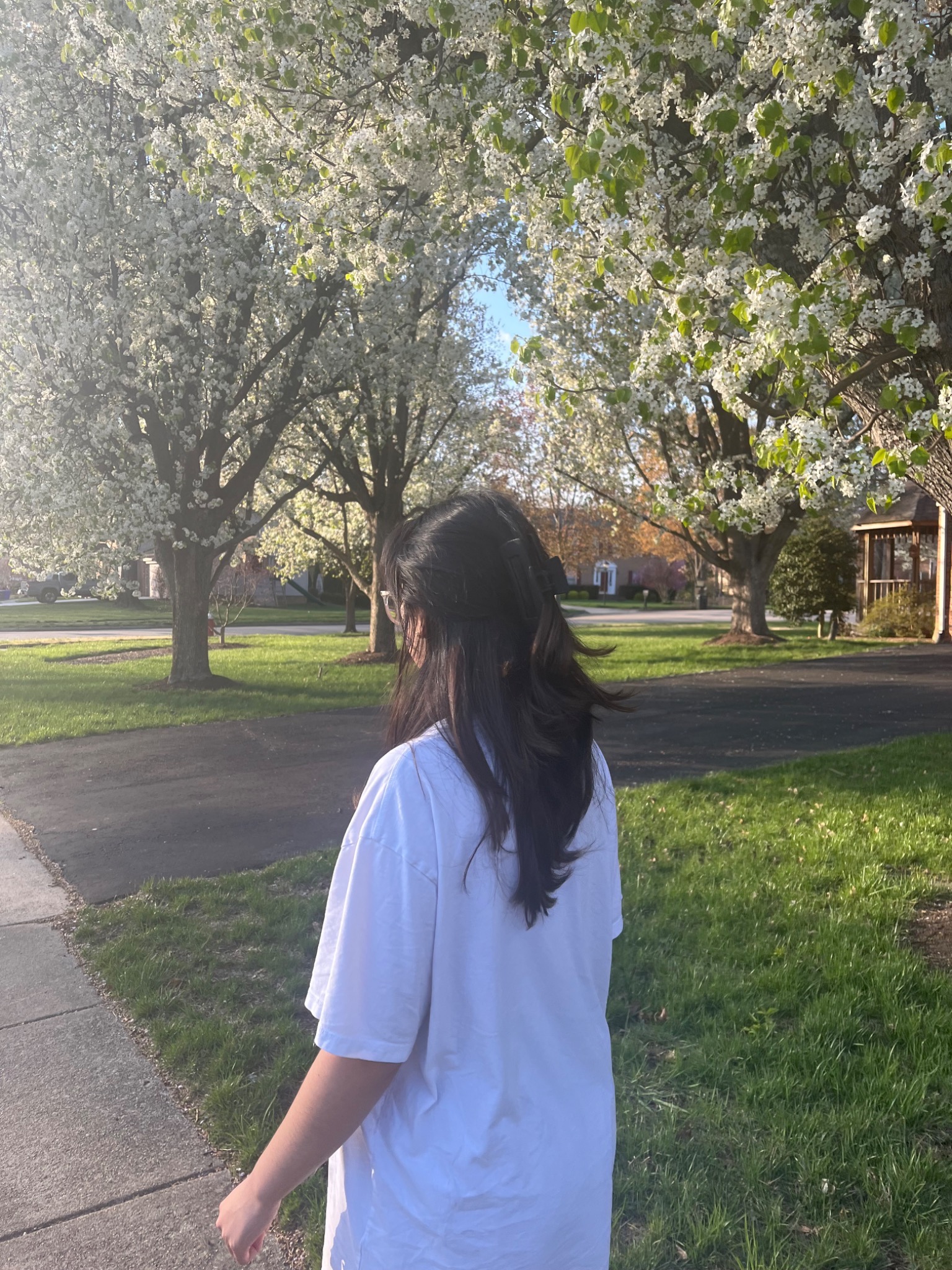 Paula walking beneath trees