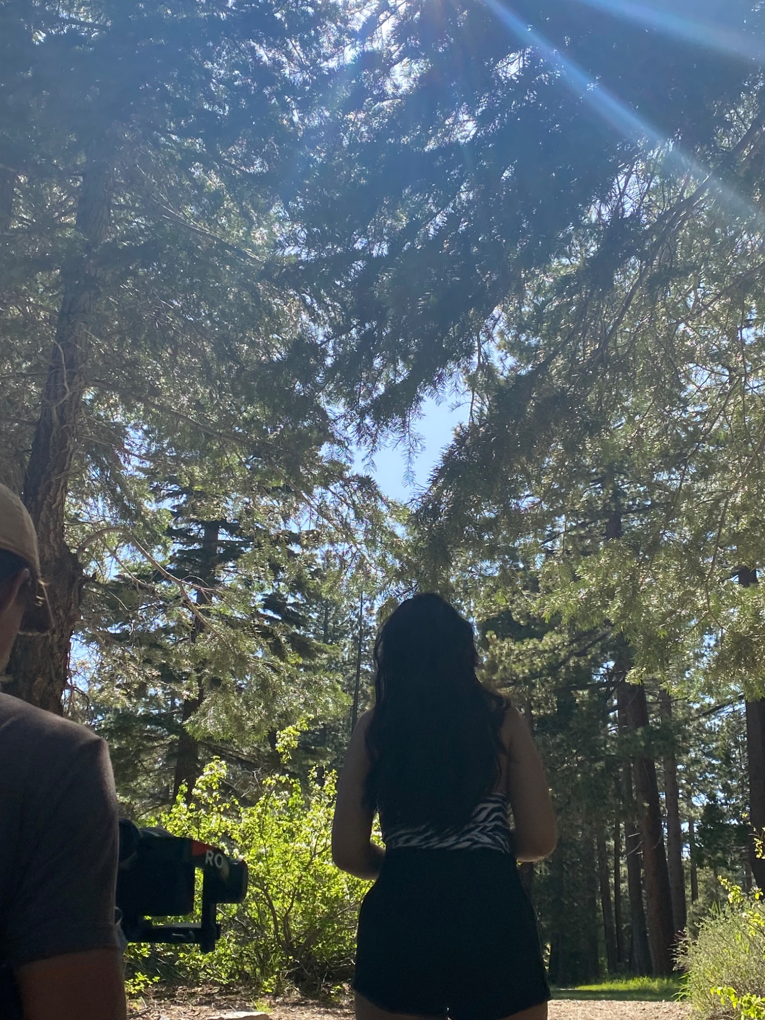 A behind-the-scenes view of Paula being filmed beneath tall trees