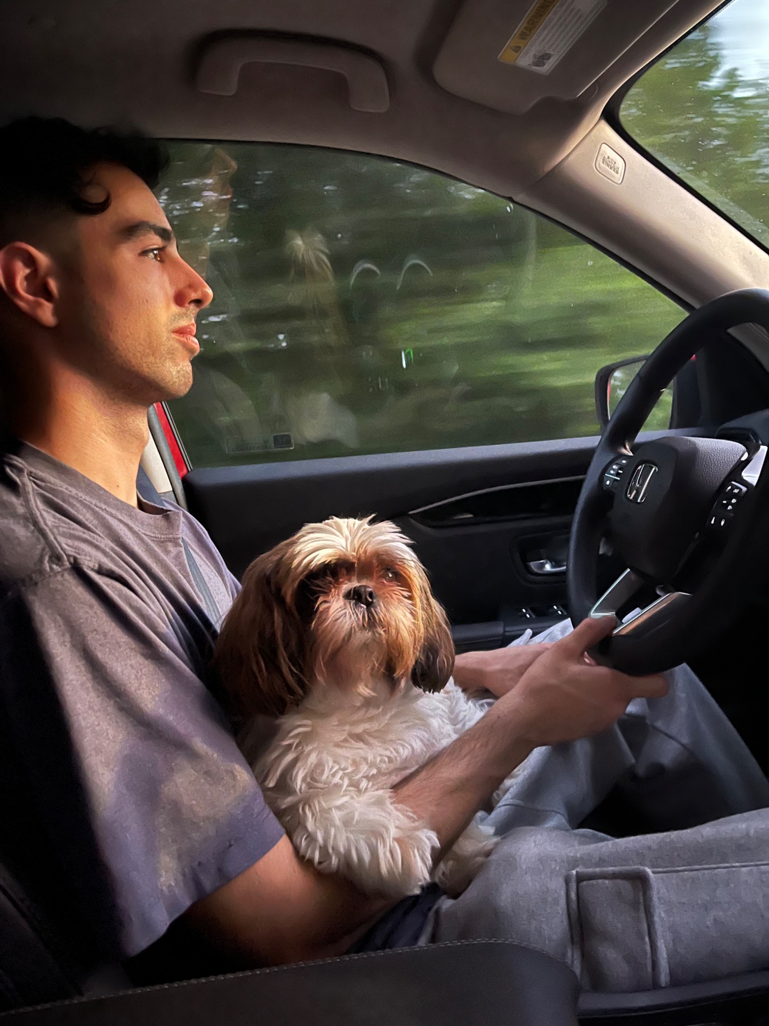 Paula's boyfriend driving with Molly Sue as evening light fills the car